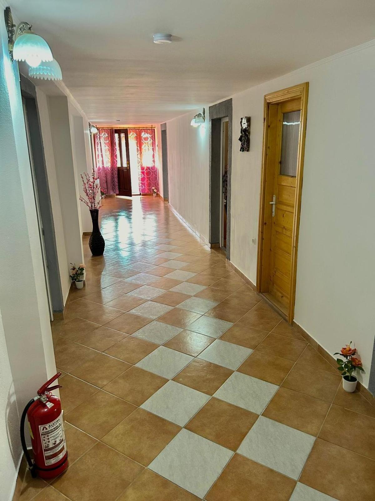 Pensiunea Casa Nina Cartisoara Exterior foto